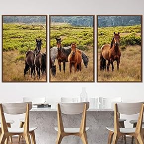 signwin 3 Piece Framed Canvas Wall Art Horses...