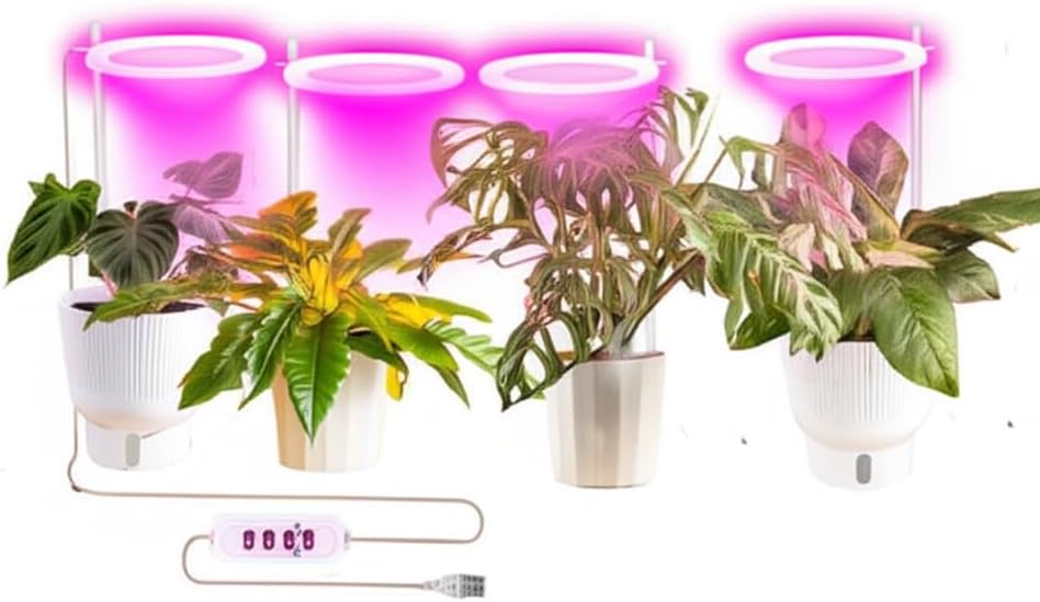 LED Angel Ring Grow Light with Smart Dimming, 1-4-Angle Rings, 3 Light Modes for Growing, Timer Control, USB Powered, Pink Light for Indoor houseplants Plants (4)