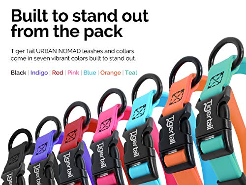 Tiger Tail Urban Nomad Dog Collar | Waterproof, Odor Proof, Durable, Anti-Mat & Lightweight | Premium Coated Nylon | For Large, Medium & Small Breed Pets| Teal, X-Small #TOP5