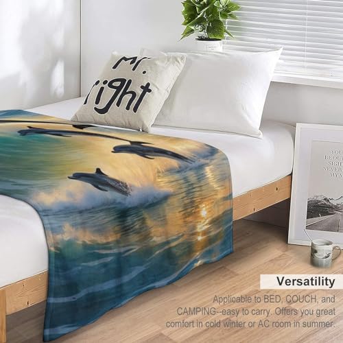 Couverture de salon en flannel dauphin 180x200cm pour lit et canapé - 6