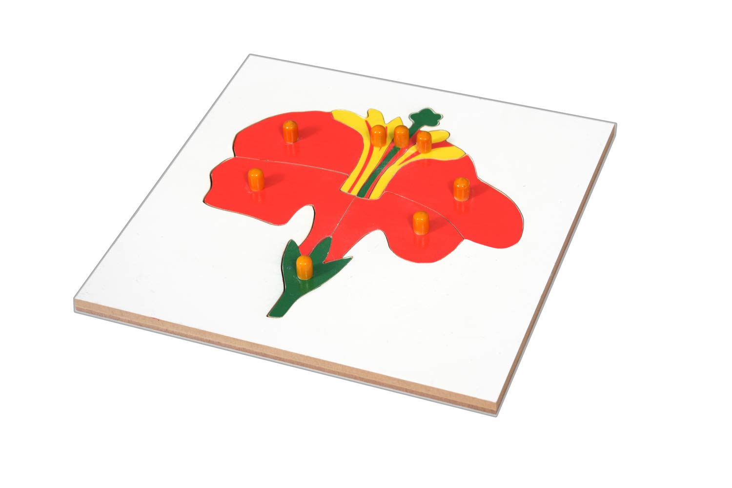 Kidken Montessori Wooden Flower Puzzle | Wooden Botany Puzzle | Montessor Toy Puzzle | Learn Parts of Flower | Preschool Toy for 3+ Year Kids (B08HJ7CK6X) Amazon Price History, Amazon Price Tracker