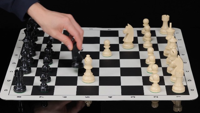 347409_5 347409_5