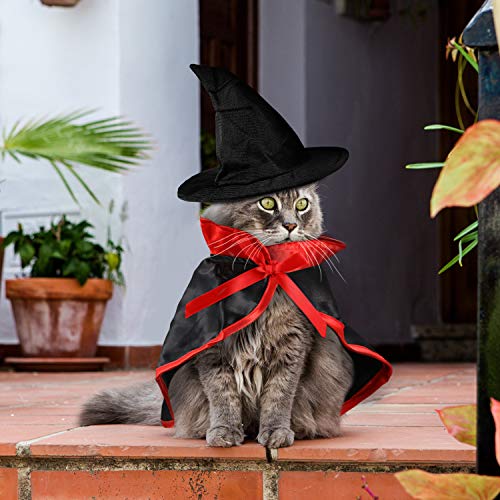 Disfraz Halloween para mascotas pequeños capa y sombrero miniatura 7