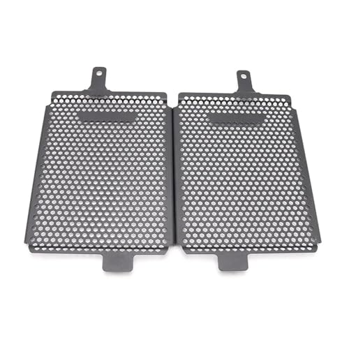 Parrilla de radiador para R1250GS LC ADV: flujo de aire óptimo y máxima defensa 3