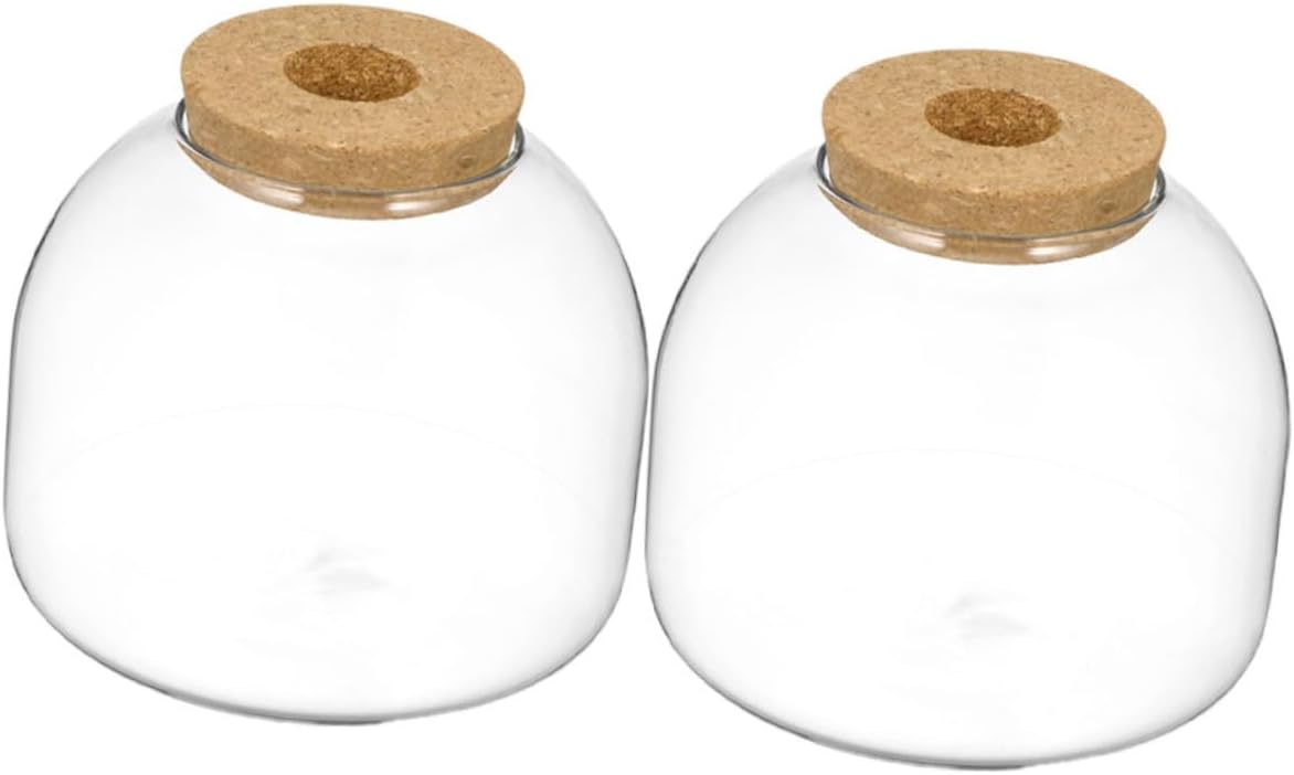 Eco Bottle Ornaments Glass Micro Landscape Bottle Jar with Lid Decorative Terrarium