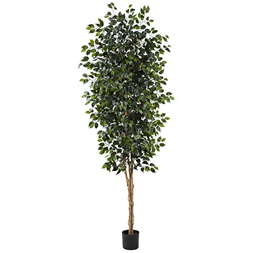 Photo 1 of ***USED - DIRTY - NO PACKAGING - SEE PICTURES***
Nearly Natural 8ft. Ficus Tree, Green, With Base