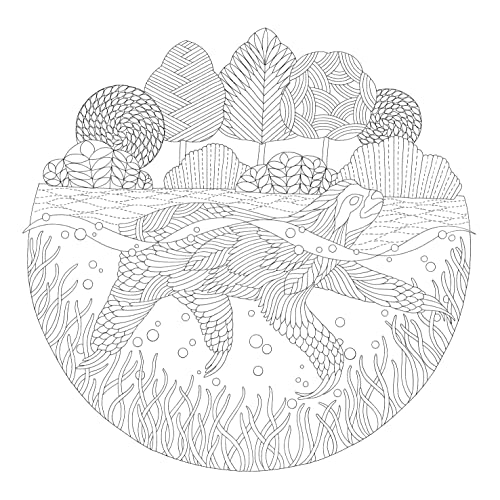 Snapklik.com : Millie Marottas Island Escape: A Colouring Adventure