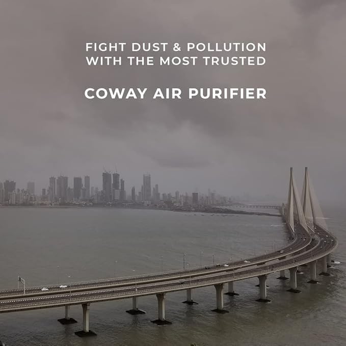 Image of Coway Original Carbon Filter for AirMega 150 (AP-1019C), Patented Patented Urethane Carbon Filters, Filter Life of 8500 Hrs, Traps Bad Odor, Foul Smell, Hazardous Gas, Cooking Smell, Can Vacuum Clean