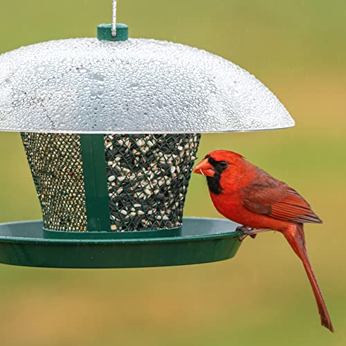 Kingsyard Bird Feeder For Outside Metal Mesh Wild Bird Feeder With Weatherproof Dome Dual Feeders 2.5 Lbs. Seed Capacity For Finch Cardinal #TOP7