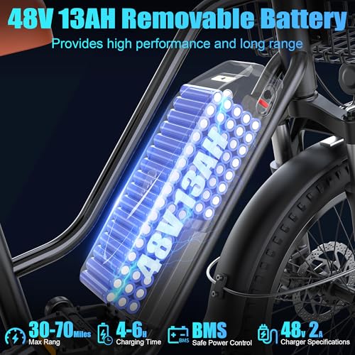 LoonFat T20 2-Seat Ebike