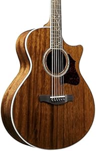 Ibanez AE245NT Elektro-Akustische Gitarre 1 Stück