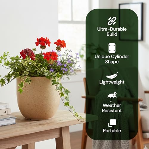 Image of BonKaso 8 Inch Jaguar Round Plant Pots | Highly Durable & Lightweight Polymer Planter for Indoor & Outdoor Use | Flower Pot (Gamla /Gamale) for Home, Office, Garden, Living Room & Balcony (Beige)