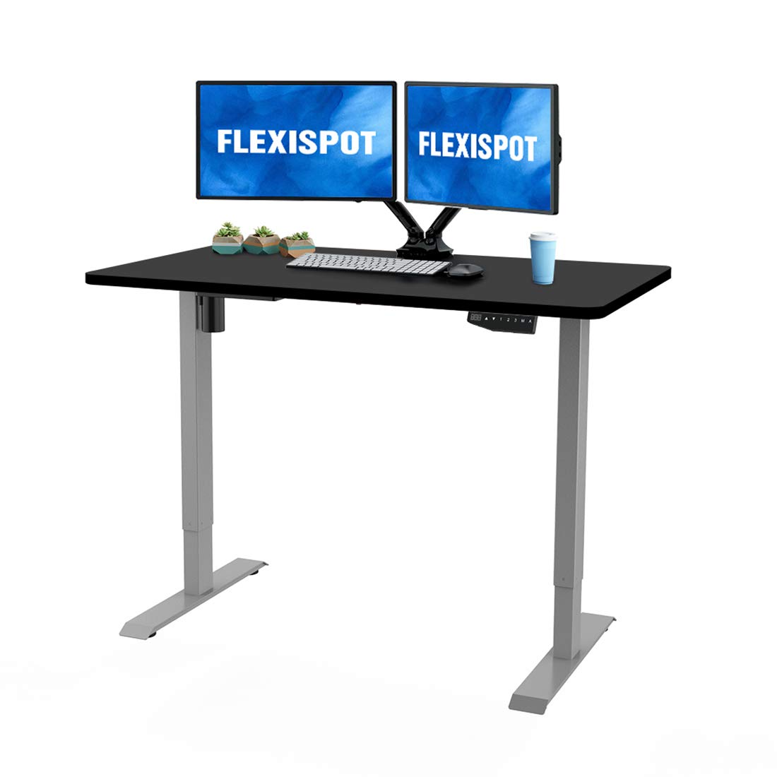 Flexispot Electric Stand Up Desk Workstation, Ergonomic Memory