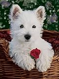  Ravensburger - Wuscheliger Hund, 1000 Teile Puzzle Flokati Line