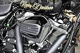 Agujeros autoperforados. Guardabarros delantero Cafe Drag Bobber para 2013 + Harley Davidson Softail Breakout Fxsb