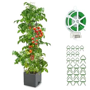 Raised Garden Bed, Planter Boxes with Trellis 58.3” Tomato Planters for Climbing Vine Vegetables Flowers Plants Self Watering Tomatoes Cage for Outdoor Patio Greenhouse