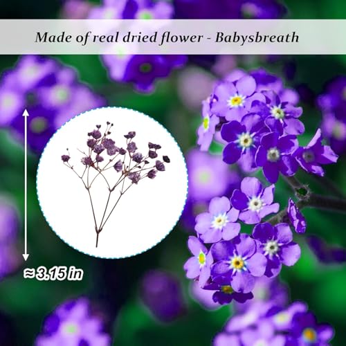 Flores Secas Prensadas de Gypsophila con Tallo 42PCS miniatura 2