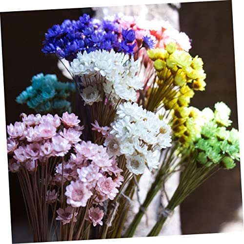 Ramo Seco de Margarita 30pcs para Decoración miniatura 6