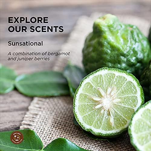 Hemp Seed Hand & Body Lotion, Sunsational Scent - 7 Oz. - Soothe Dry Skin - Argan Oil, Hemp Seed Oil - Light, Non-Greasy Formula - Vegan & Cruelty Free #TOP3