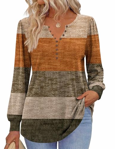 Zeagoo Fall Tops for Women Long Sleeve Button Up Shirts Floral Tunics V Neck Pullover Blouse2