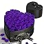 Mysterious Purple