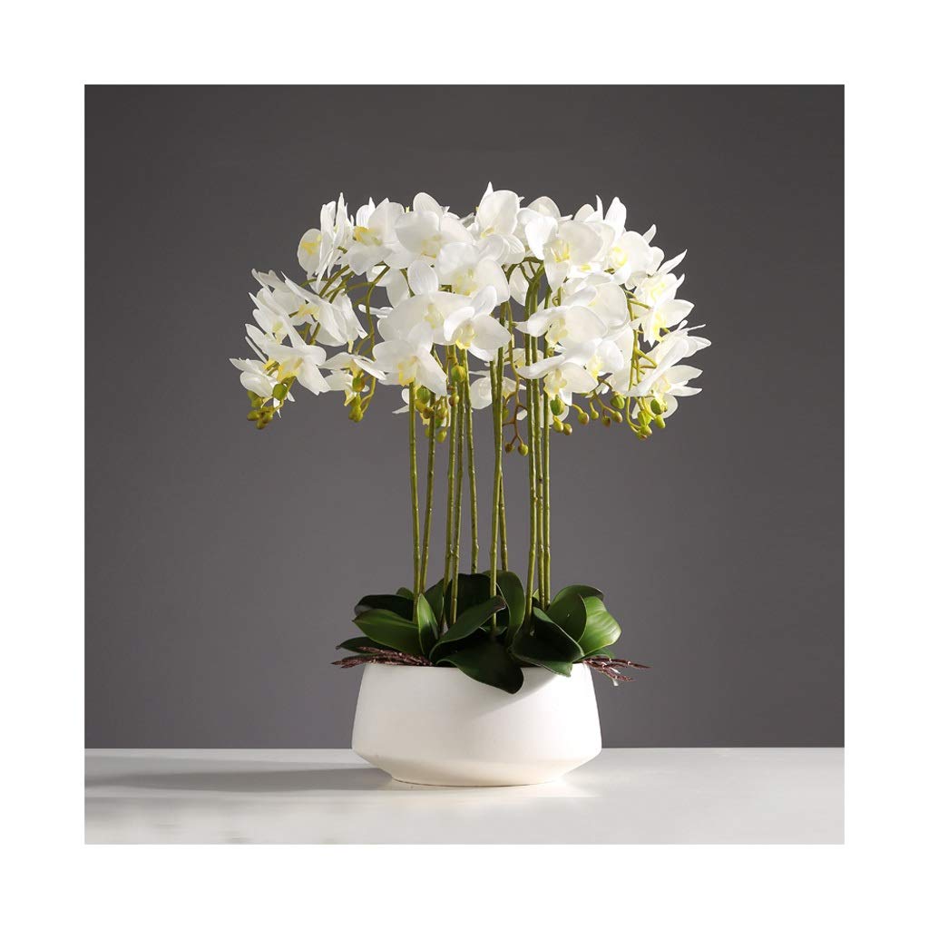 IUokLU Artificial Flower in Pot Artificial Orchid Phalaenopsis with Flower Pot Fake Flowers Plastic Flowers Decoration Bouquet for Home 10 Flower (White B)