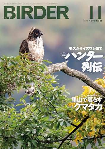 BIRDER (バーダー) 2023年 11月号 [雑誌]のサムネイル