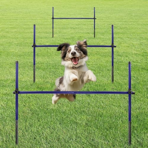 Dog Agility Course Backyard Set, Metal Dog Agility Training Equip...