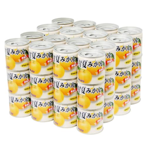 九州旬食館 甘夏みかん 缶詰 24缶入り×2箱 計48缶 セット (身割れ)