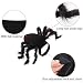 AILOVA Ropa para Perros Cosplay De Araña Traje De Mascota para Gato...