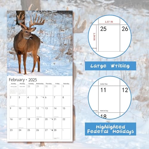 2025wallcalendarcalendar2025january2025december2025wallcalendarwhitetaildeer12x24openedfullpagemonthsthicksturdypaperforgiftperfectcalendarorganizingplanning  Urban Country Home Decor 2025 wall calendarcalendar 2025 january 2025 december 2025 wall calendar whitetail deer 12 x 24 openedfull page months thick sturdy paper for gift perfect calendar organizing planning  urban country home decor