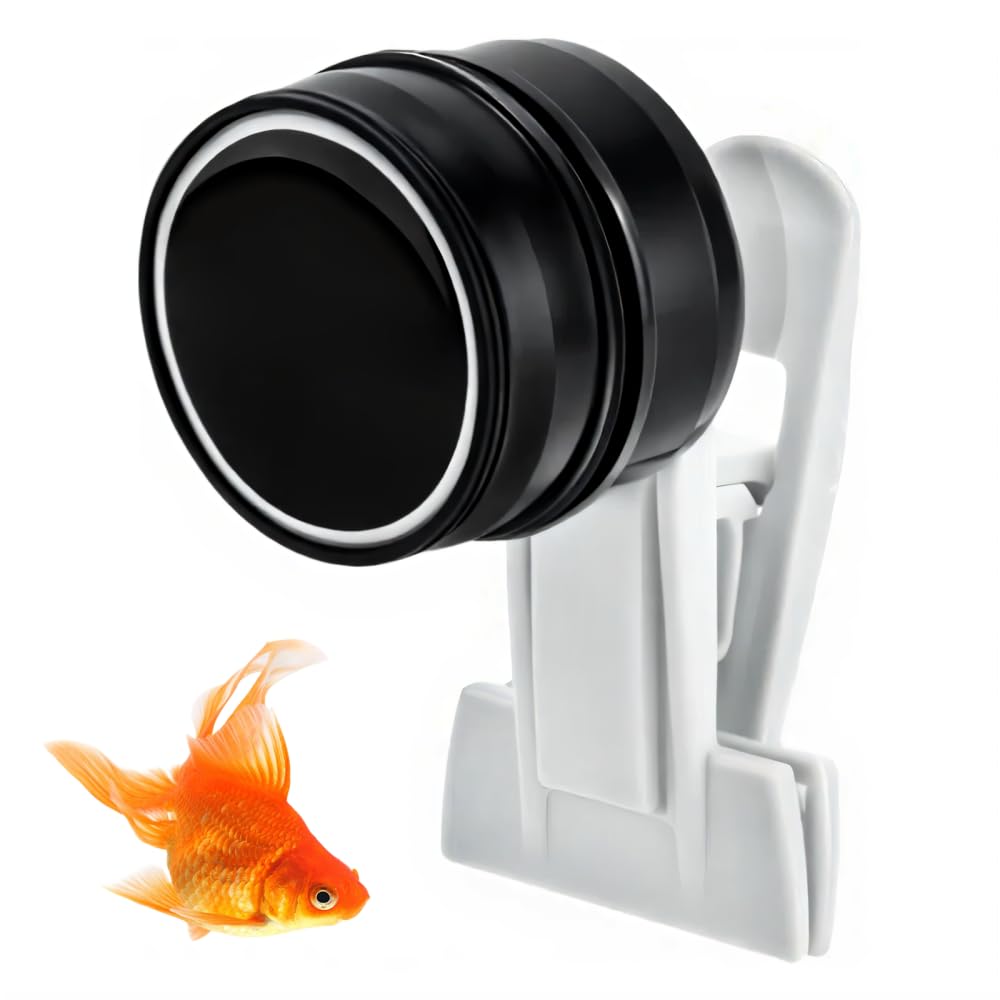 Pinces Magnétiques pour Nourrir Les Algues, Pince d'alimentation en Algues, Mangeoire Magnétique pour Aquarium, Distributeur Magnétique d'algues pour Aquarium d'eau Douce et d'eau de Mer