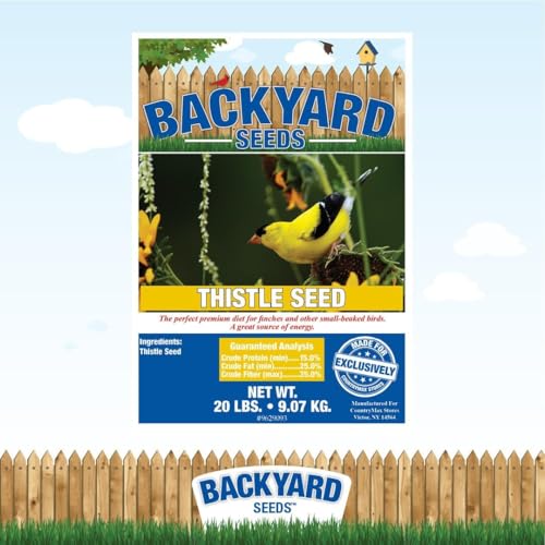 Image of CountryMax Nyjer Thistle Seed - Premium Finch Bird Feed for Goldfinches, Siskins & Small Songbirds, No-Filler Clean Seed