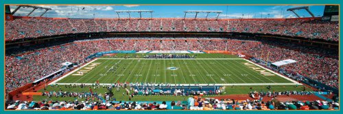 Master Pieces NFL Miami Dolphins Stadium Panoramic Jigsaw Puzzle, 1000 Pieces, Team Color (7.05989E+11) - Thumbnail 4