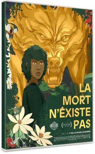 La mort n'existe pas - DVD