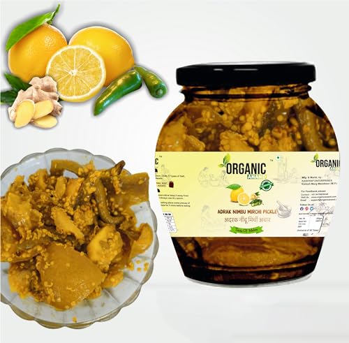 Image of Organic Anand Homemade Ginger Lemon Green Chilli Mix Pickles 350gram Khatta Mix Ghar ka Achaar Flavourful, Delicious, Traditional Taste