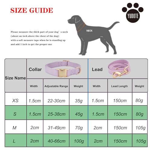 YUDOTE Hundehalsband und Leine Set Klein, Weiche Reizfreie Cord-Halsband-Leine Passende Combo für Den Täglichen Spaziergang, Lila