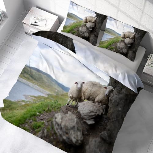 Housse couette en microfibre douce mouton pour de tendres nuits étoilées