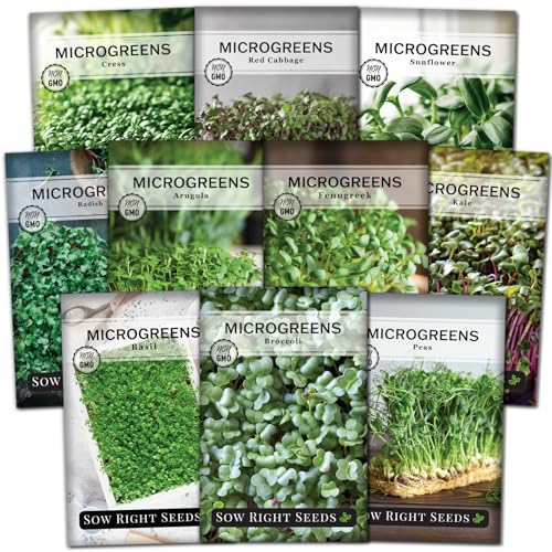 Sow Right Seeds - Large Microgreens Seed Collection - 10 Microgreen Variety Indoor Garden Packets with Superfood Seeds for Kitchen Counter Sprouting & Growing - Ideal for Indoor Gardening