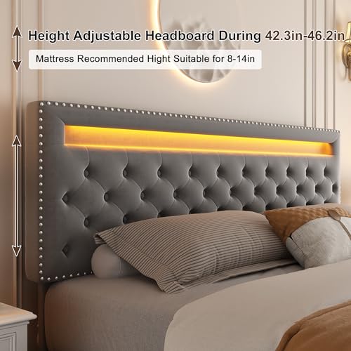 GEGOFORU King Led Bed Frame with 4 Storage Drawers, with Smart Control RGBW LED Lights Headboard Footboard, Control DIY Color, Box Spring Optional, Velvet Grey