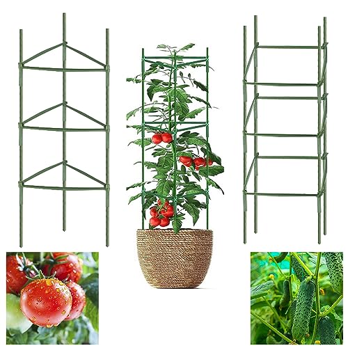 FAVENGO 3 Stück Rankhilfe für Rosen,Rankhilfe Zimmerpflanzen,Pflanzen...