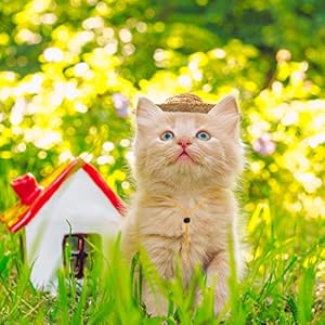 Popetpop adjustable chihuahua straw hat fashion dog sombrero hat cap mexican party hawaii garden sun bucket cap for puppy and kitty  size s   cucciolini doodles