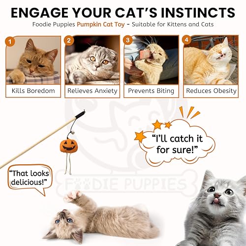 Image of Foodie Puppies Cat Teaser Playing Wooden Stick Halloween Plush Toy (Pumpkin, 41cm) for Cats and Kittens | Interactive Bell Hanging Wood Wand | Fun Teasing, Catching, Chasing and Bonding Play