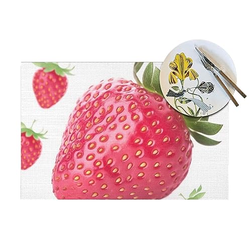 Sets de table pour table de salle à manger lot de 4 à motif fraise