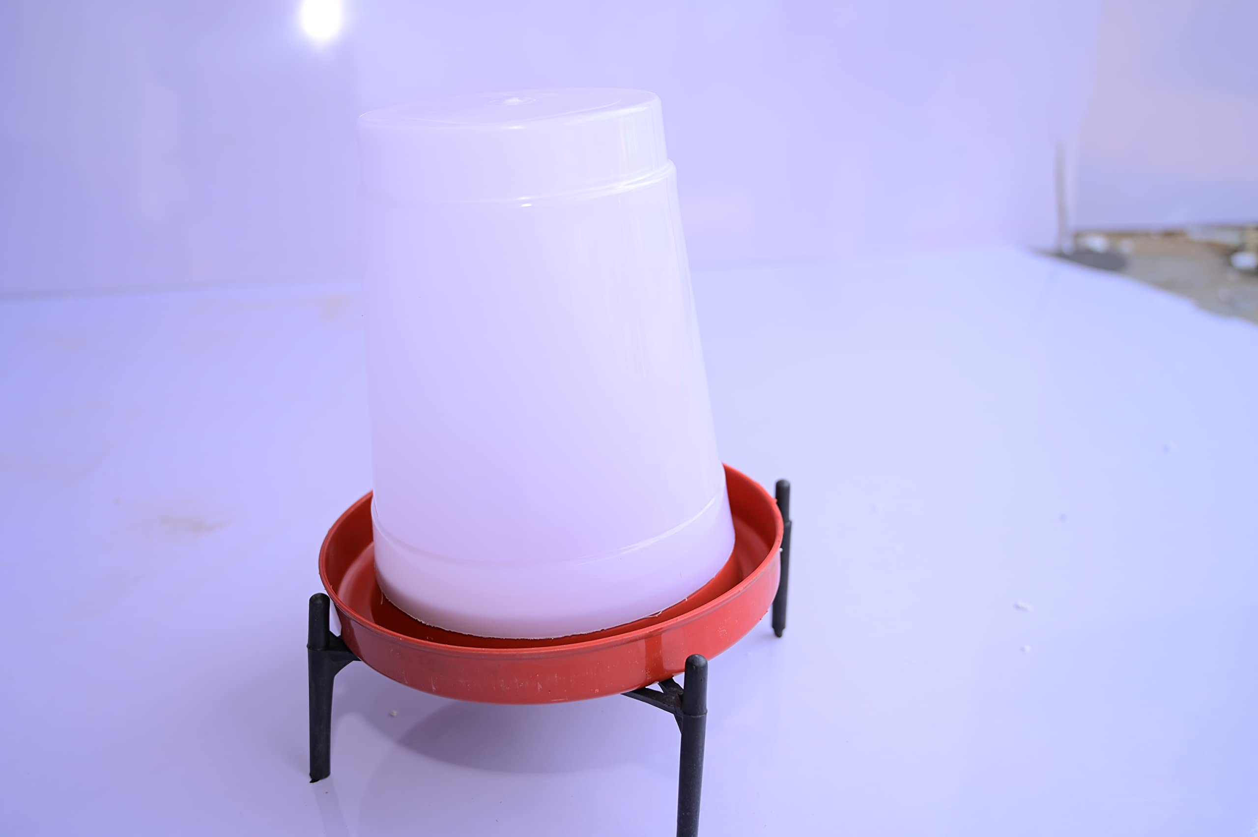 Ndeal 3 L Poultry Drinker for Poultry Farm and Other All Birds Useful (Pack of 1) (B0BSNS2S1J) Amazon Price History, Amazon Price Tracker