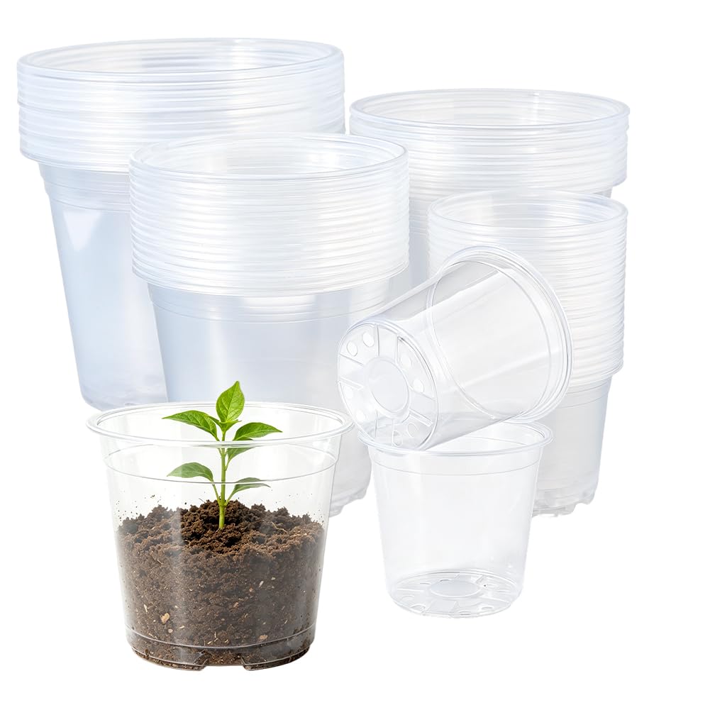 SUPERFINDINGS 55 Pièces Pots De Plante Transparents Pots De Pépinière en Plastique avec Trous De Drainage Plusieurs Tailles Inserts De Pot Décoratif 3.15 4.72 5.51 6.69 in pour Semis Propagation