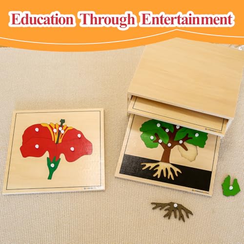 Image of MONTESSORI OUTLET Nature Materials Flower Puzzle Early Preschool Learning Toys for 3-12 Year Old Kids and Toddler