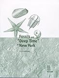 Fossils and Deep Time in New York
