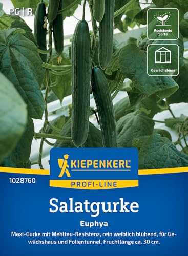 Kiepenkerl Salatgurkensamen Euphya 102876