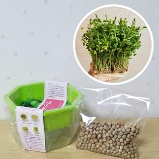 豆苗のタネ 栽培セット 栽培容器とタネ約100ml これで発芽3~4回分、収穫後も再発芽するから6回以上は収穫出来ます